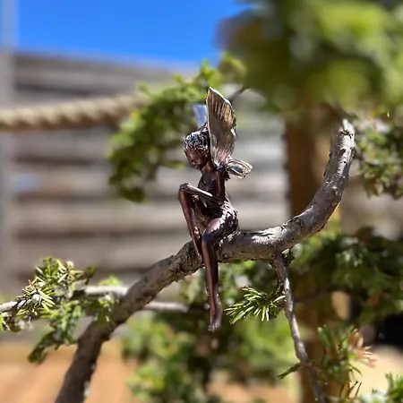 Le Clos Des Elfes * Saint-Martin-de-Londres