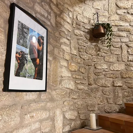 Le Clos Des Elfes
